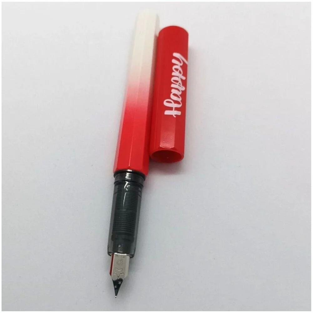Platinum fountain pen